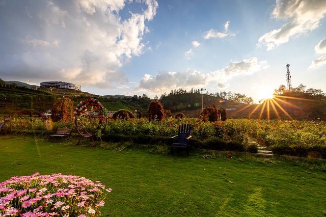 Cùng với hai “vedette” hoa hồng và mã tiền thảo, thung lũng hoa Fansipan năm nay còn ngập tràn muôn sắc hoa ngợp ngời khác.