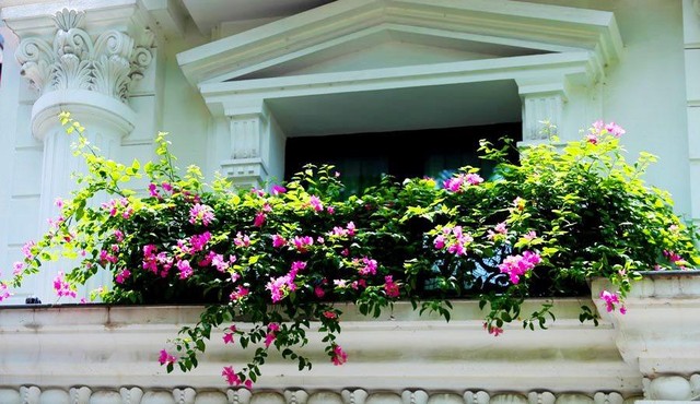 Ngắm nhìn những khung cửa thơ mộng, cảm giác thanh thản, nhẹ nhàng.