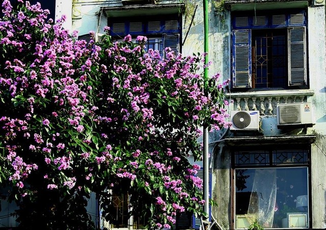 Bạn sẽ thấy nhịp sống dường như trôi chậm lại khi chạm vào những khung cửa sổ ấy.