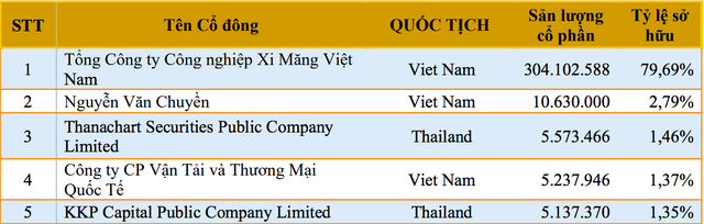 5 cổ đông lớn nhất tại Xi măng Hà Tiên 1.