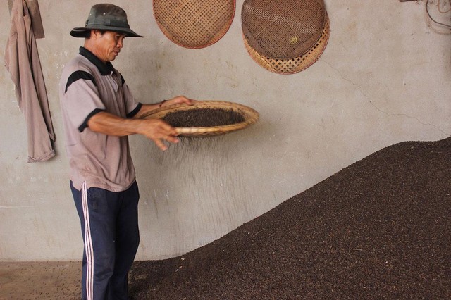 Người dân làm sạch tiêu đen sau khi phơi khô (Ảnh minh hoạ: Hương Giang).