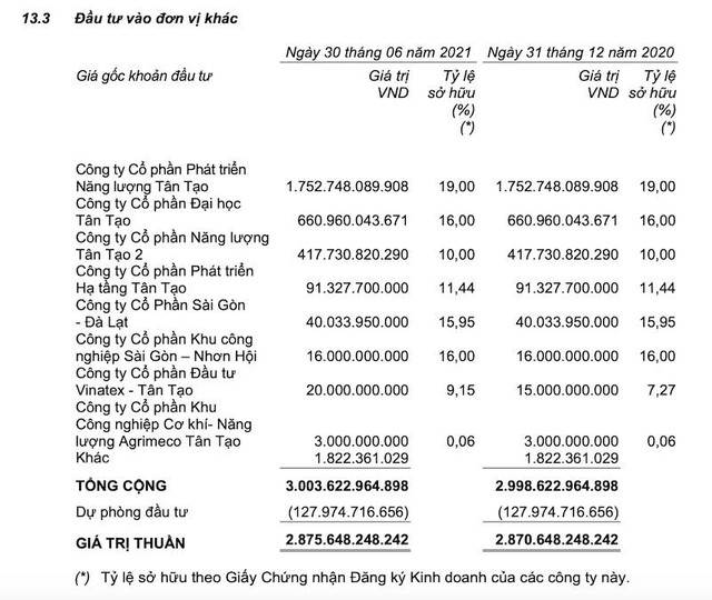 Khoản đầu tư vào Phát triển Năng lượng Tân Tạo cũng là khoản đầu tư lớn nhất, chiếm quá nửa giá trị các khoản đầu tư của Tân Tạo
