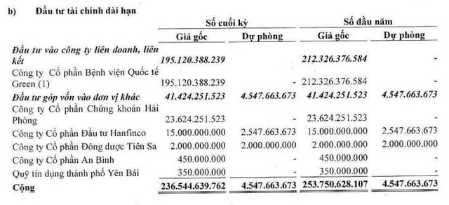 Các khoản đầu tư tài chính dài hạn của Hapaco.