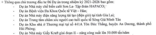6 dự án mà Hapaco sẽ đầu tư trong 5 năm tới