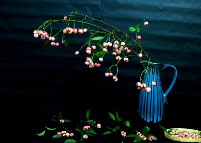 Mùa thu năm nay, lần đầu tiên cành quả lồng đèn xuất hiện tại thị trường Hà Nội. (Ảnh: Hồ Hạ)