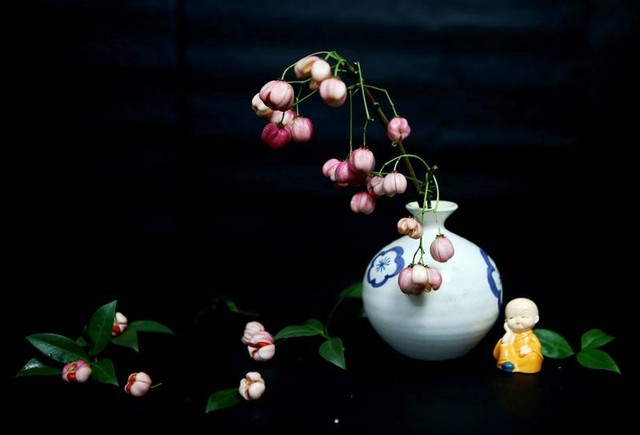 Vì cành lồng đèn mới lạ, rất xinh xắn từ màu sắc quả đến cành lá nên vẫn thu hút nhiều người mua về cắm chơi. (Ảnh: Hồ Hạ)