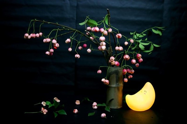 Cành lồng đèn không có mùi, nhưng lại quyến rũ khách hàng vì khi cắm vào lọ, chỉ cần thắp thêm một chiếc đèn vàng bên cạnh sẽ có một không gian đẹp lung linh, rất lãng mạn vô cùng. (Ảnh: Hồ Hạ)