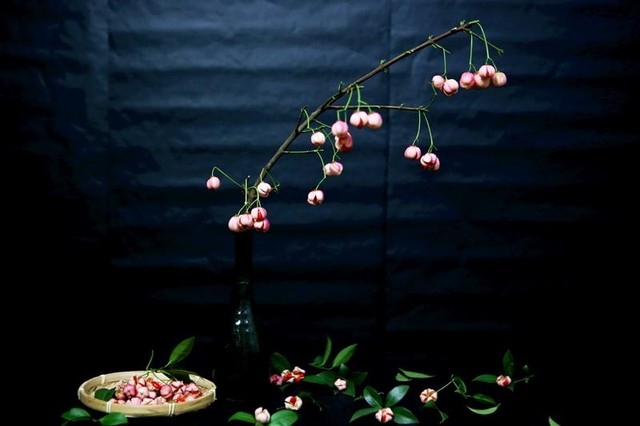 Cành quả lồng đèn có màu hồng, từng chùm quả rủ mình yểu điệu được nhiều người yêu hoa săn lùng. (Ảnh: Hồ Hạ)