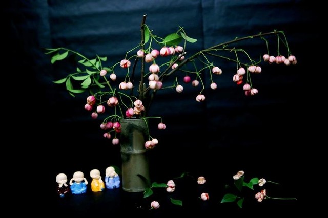 Những trái lồng đèn già, khi cắm sẽ tự bung nở, lộ ra vài chiếc hạt màu đỏ bên trong... giống y như những chiếc đèn lồng, vô cùng đáng yêu. (Ảnh: Hồ Hạ)