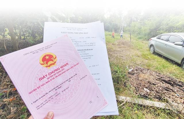 Nhà đầu tư đổ về Đồng Nai “săn” đất. Ảnh: Lê Toàn