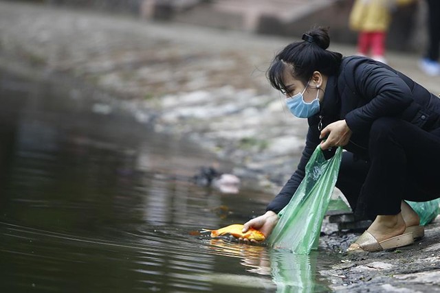 Với mong muốn gia đình luôn may mắn thuận hòa, nên nhiều gia đình cũng rất chú ý trong khâu thả cá.