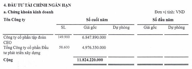Danh mục đầu tư của VLA