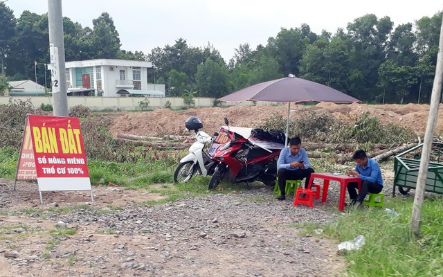 Nhiều người hái quả ngọt, những cũng không ít người ôm trái đắng khi đầu tư vào đất. Ảnh: Việt Dũng