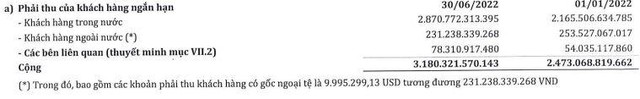 Phải thu của khách hàng ngắn hạn SMC tính tới 30/6/2022 (Nguồn: BCTC).