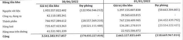 SMC đẩy mạnh tích trữ nguyên liệu và đồng thời trích lập dự phòng giảm giá tồn kho (Nguồn: BCTC).
