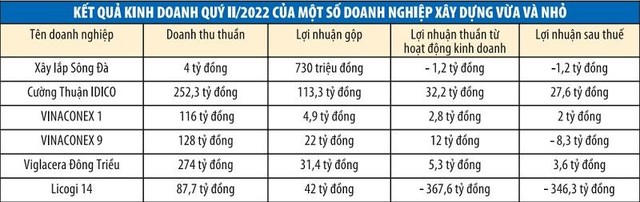 Nguồn: Báo cáo tài chính các doanh nghiệp