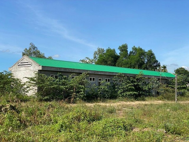 Lâu ngày không thi khiến dự án cỏ dại mọc um tùm gây hoang hóa, trông rất nhếch nhác.