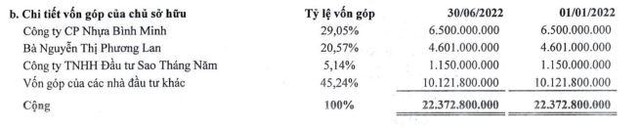 Cơ cấu cổ đông của Nhựa Đà Nẵng tới 30/6/2022 (Nguồn: BCTC).
