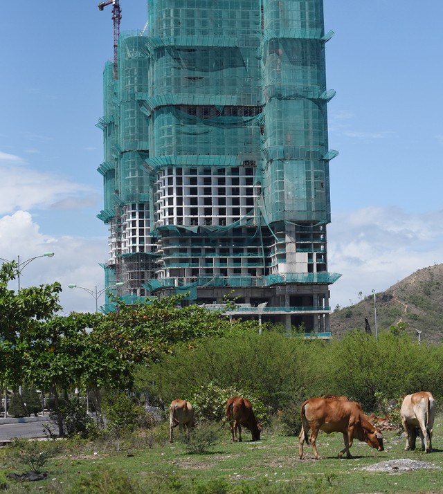 Hàng nghìn dự án bất động sản đang bị “treo” trên khắp cả nước. Ảnh: Dũng Minh