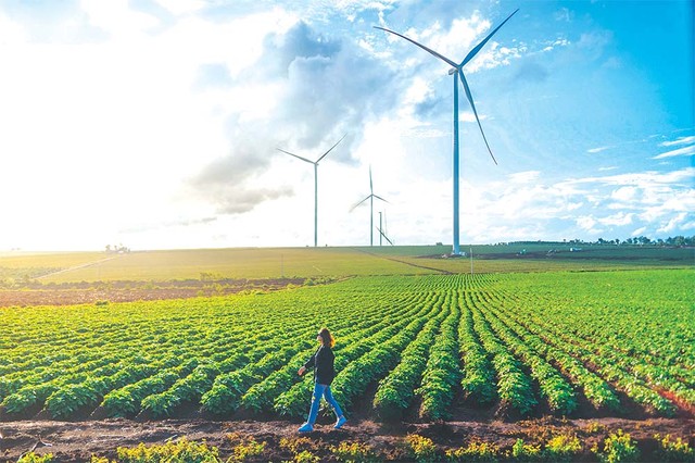 Các huyện phía Đông tỉnh Gia Lai có tiềm năng lớn về điện gió và điện mặt trời Các huyện phía Đông tỉnh Gia Lai có tiềm năng lớn về điện gió và điện mặt trời