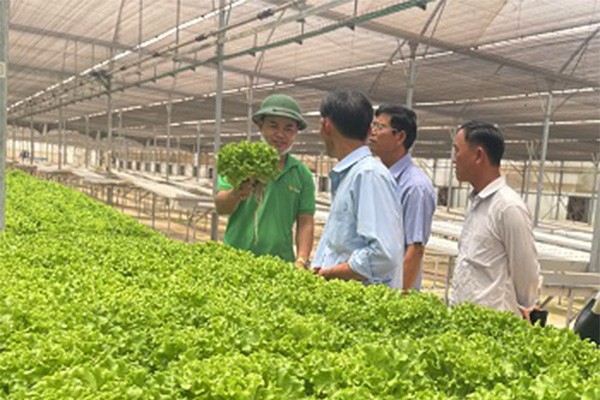 Sản xuất nông nghiệp công nghệ cao tại một doanh nghiệp ở huyện Long Thành, Đồng Nai