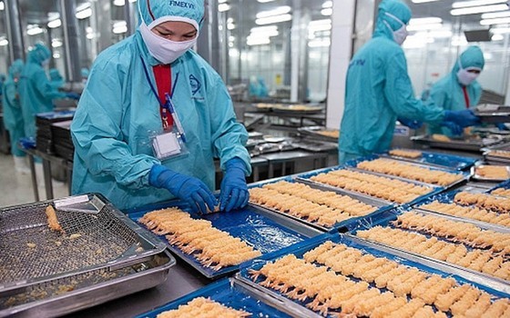 Thực phẩm Sao Ta đang tập trung chế biến các đơn hàng cao cấp cho các hợp đồng giao quý 4