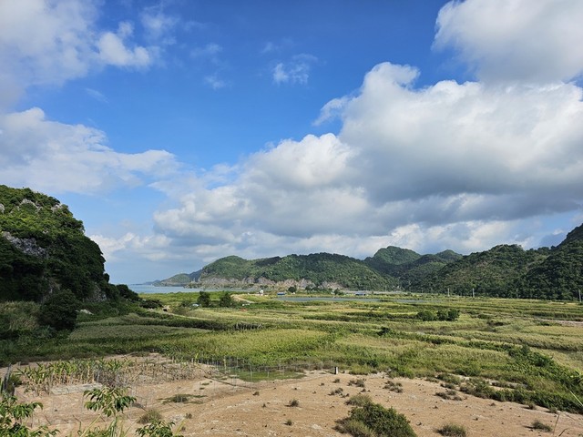 Khu vực kiểm tra thực địa. Ảnh: Thanh Sơn Khu vực kiểm tra thực địa. Ảnh: Thanh Sơn