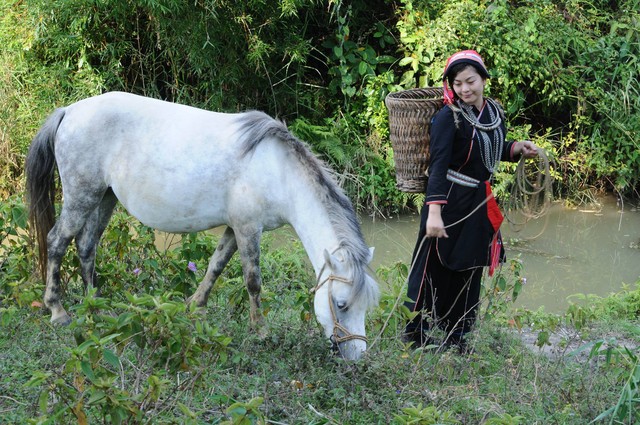 Đến Nậm Đăm, du khách sẽ được hòa mình vào cuộc sống của đồng bào Dao Chàm. Đến Nậm Đăm, du khách sẽ được hòa mình vào cuộc sống của đồng bào Dao Chàm.
