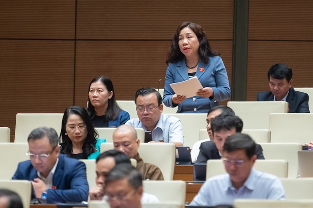 Đại biểu Trần Thị Hiền (Hà Nam) phát biểu tại hội trường.