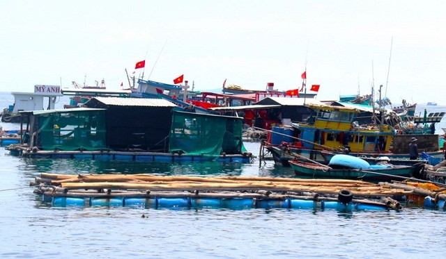 Nuôi cá lồng bè trên vùng biển Kiên Giang. Nguồn: vpubnd.kiengiang.gov.vn Nuôi cá lồng bè trên vùng biển Kiên Giang. Nguồn: vpubnd.kiengiang.gov.vn