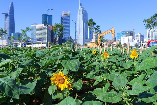 Thị trường bất động sản dự báo tích cực hơn trong năm 2024. Ảnh: Lê Toàn