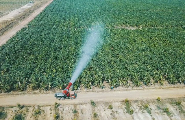 Với quyết định thành lập công ty mới, Nông nghiệp Quốc tế Hoàng Anh Gia Lai sẽ có 3 công ty con trụ sở tại Lào. Ảnh:ST