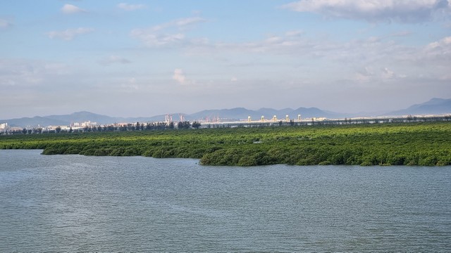 Hệ thống rừng ngập mặn cơ bản được giữ nguyên. Ảnh: Thanh Tân