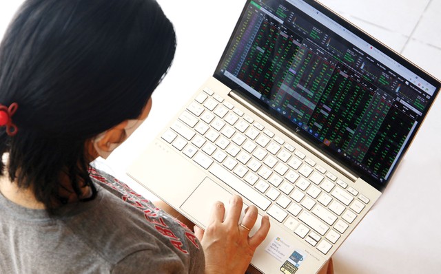 Nhà đầu tư cần đa dạng hóa danh mục để hạn chế rủi ro, đồng thời chú trọng hơn vào góc nhìn đầu tư trung, dài hạn