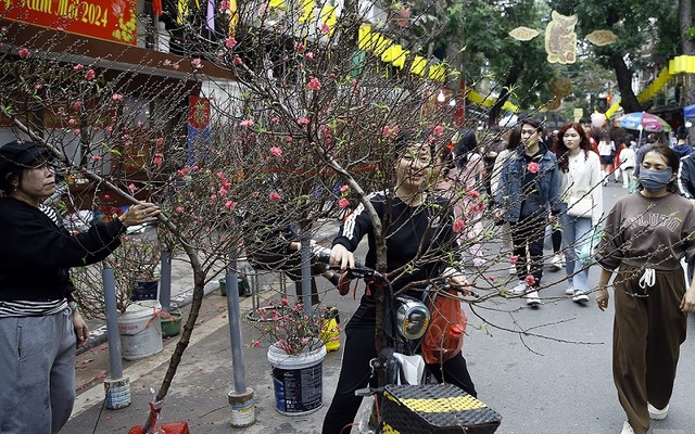 Một cành đào như thế này có giá khoảng từ 400-800.000 đồng Một cành đào như thế này có giá khoảng từ 400-800.000 đồng