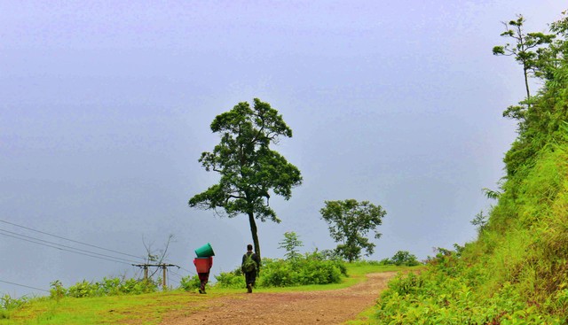 Con đường trong sương mờ