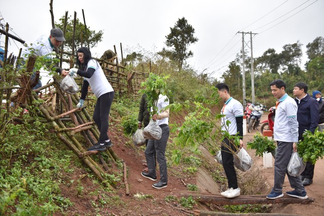Các cây giống có giá trị kinh tế được CBNV ABBANK mang đến tặng bà con vùng biên giới Thượng Trạch, Bố Trạch, Quảng Bình