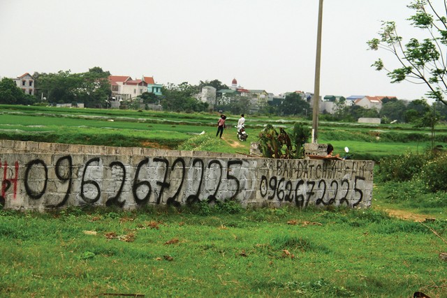 Thị trường bất động sản ấm lên cũng là lúc phân khúc đất nền được quan tâm trở lại. Ảnh: Thành Nguyễn