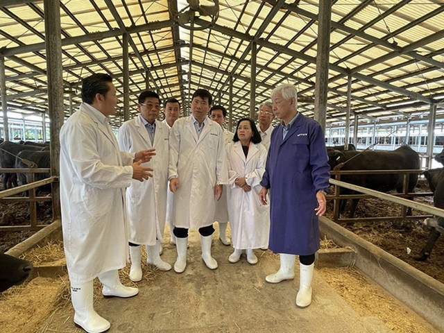 Đoàn đến thăm và tìm hiểu quy trình hoạt động của Trang trại Bò Sawai