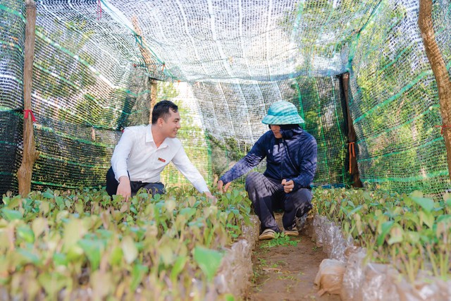Nhân viên Ngân hàng Agribank tìm hiểu nhu cầu vốn của người trồng rừng
