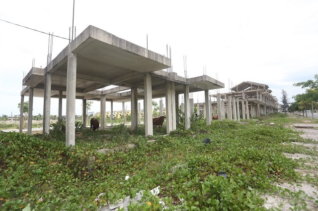 Đến nay dự án vẫn chưa được gia hạn tiến độ thực hiện.