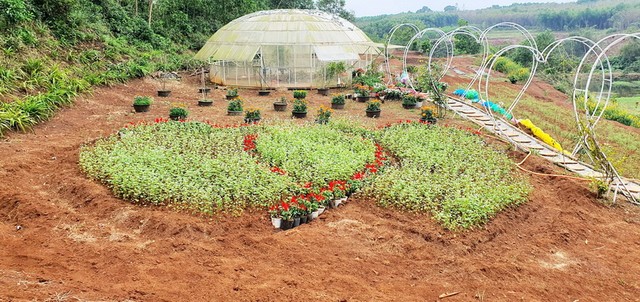 Khu vực vườn hoa tại dự án Khu du lịch sinh thái Rú Lịnh