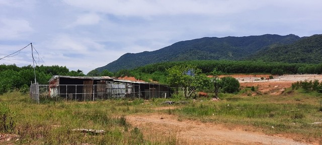 Nhà làm việc của công nhân thi công Dự án Hồ chứa nước Lộc Đại đang bỏ hoang phế, cỏ mọc um tùm, trở thành nơi cho bò gặm cỏ. Ảnh: Linh Đan