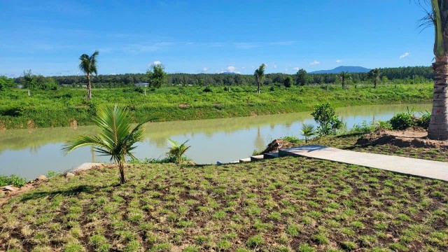 Các trang trại chăn nuôi được doanh nghiệp đầu tư xanh hoá.