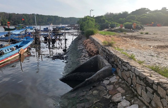 Một góc dự án đê bao ở huyện Cần Giờ