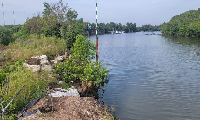 Bờ kè đê bao sông Hà Thanh từ mũi Đồng Hòa đến mũi Cần Thạnh (huyện Cần Giờ) cũng có sai phạm.