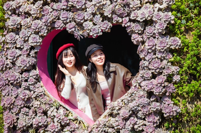 Lễ hội hoa sen đá diễn ra đến cuối năm 2024 tại khu du lịch Sun World Fansipan Legend là sự kiện mở đầu cho chuỗi chương trình kích cầu du cuối năm nay.