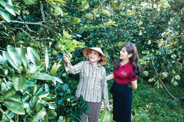 Ngành ngân hàng tích cực xây dựng các chương trình tín dụng và thiết kế gói tín dụng xanh, sản phẩm xanh