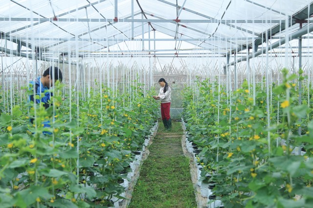 Agribank duy trì tỷ trọng dư nợ cho vay nông nghiệp, nông thôn từ 65 - 70% tổng dư nợ