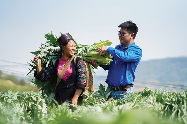 Niềm vui của phụ nữ vùng cao Sapa, Lào Cai khi thu hoạch lá actiso Niềm vui của phụ nữ vùng cao Sapa, Lào Cai khi thu hoạch lá actiso